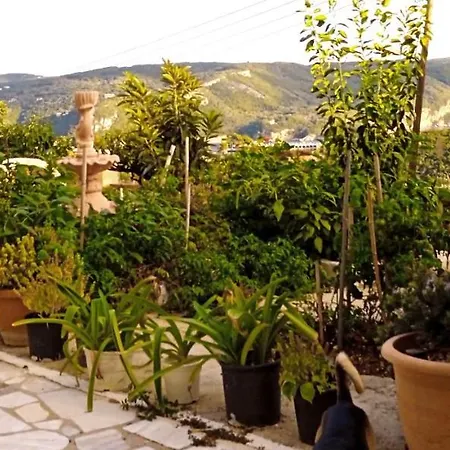 Vassilis Apartamento *