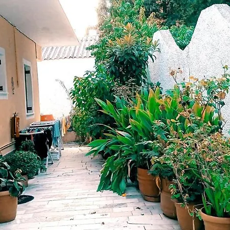 Vassilis Apartamento *